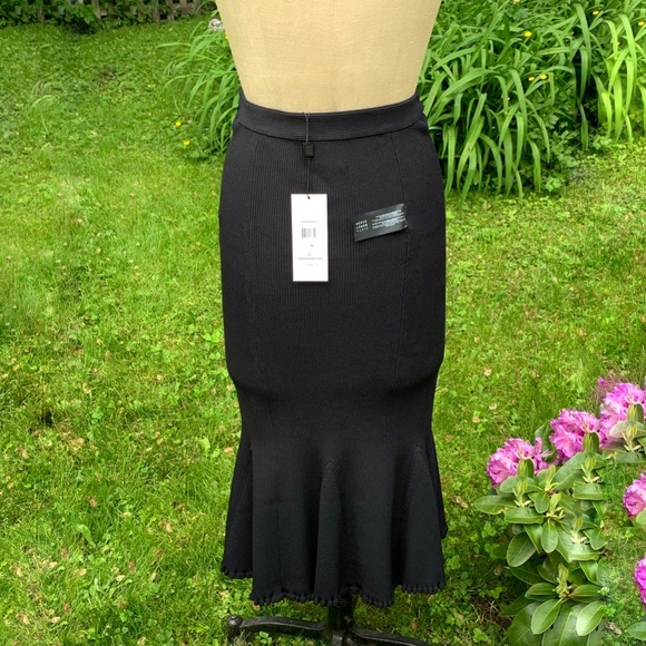 💗 HOST PICK 💗   NWT Herve Leger Paris Pencil Skirt & Peplum Top - Picture 7 of 16
